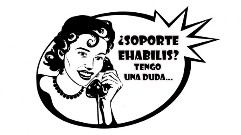 Soporte eHabilis:diferentes niveles